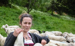 Hauser Kaibling: Almlammprojekt mit Österreichs einziger Bergschäferin